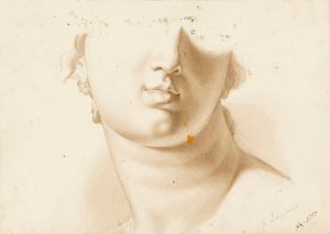 人脸下半部研究，可能是雕像 作者 玛格丽特·路易莎·赫歇尔