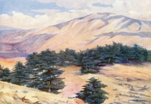 雪松和 Dehr el Kodib 总览（彩色石版画） 作者 玛格丽特·托马斯