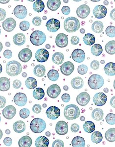 海胆蓝》，2020 年（纸面水彩画） 作者 玛丽安娜库鲁昆迪斯