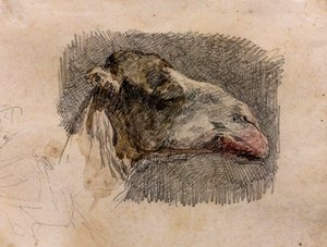 骆驼头，约 1865 年（纸张上的石墨铅笔和水彩亮点）