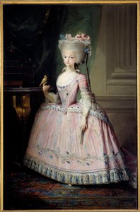 卡洛塔·华金娜 (1775-1830) 的脚下肖像 西班牙的婴儿和葡萄牙女王 马里亚诺·马埃拉 (1739-1819) 的绘画 (ec.esp.) 18 世纪 1,77x1,16 m 马德里，普拉多博物馆 - Carlota Joaquina（1775-1830）的全长肖像 作者 马里亚诺·萨尔瓦多·德·梅埃拉