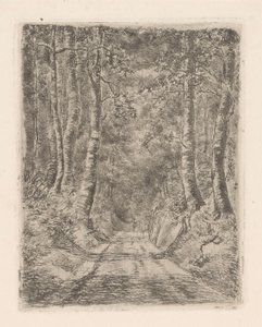 空心路旁的森林 作者 Marie Adolphine van der Goes van Dirxland