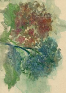 绣球花，2022 年（纸面油画）