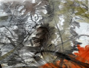 模式 21 作者 玛丽娜·法尔科