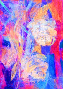 粉红玫瑰，2023 年（数码照片）