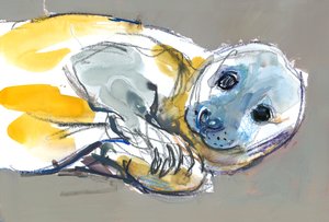 奇特的自信，2023 年 作者 马克·阿德灵顿