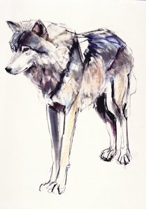 Alpha（纸上混合媒体） 作者 马克·阿德灵顿