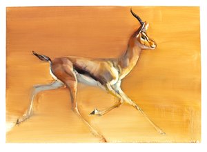 阿拉伯瞪羚，2010年（纸上谈兵） 作者 马克·阿德灵顿