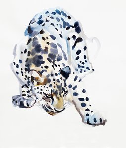 阿拉伯豹，2008年 作者 马克·阿德灵顿