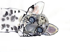 阿拉伯豹，2008年 作者 马克·阿德灵顿