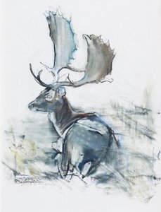 巴克在草丛中，2006年（木炭和纸上谈话） 作者 马克·阿德灵顿
