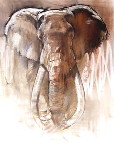 Bull Elephant, 2018 作者 马克·阿德灵顿