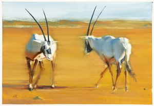 盘旋的阿拉伯大羚羊，2010年（纸上油画）。 作者 马克·阿德灵顿
