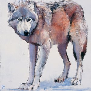 Edge，2001 作者 马克·阿德灵顿