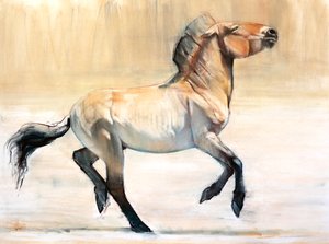 Equus（Przewalski），2014，（粉彩和木炭纸）