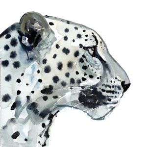 焦点，2015年，（纸上水彩） 作者 马克·阿德灵顿