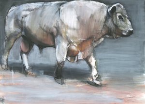 弗雷斯诺，加洛韦公牛（纸上混合媒体） 作者 马克·阿德灵顿