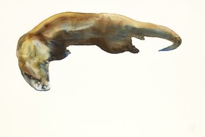 黄金，纸上水彩（2014） 作者 马克·阿德灵顿