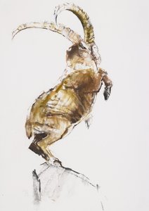 2005年的山之王（木炭和纸上谈话） 作者 马克·阿德灵顿