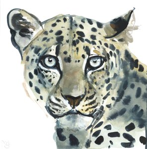 Leopard，2015，（纸上水彩） 作者 马克·阿德灵顿