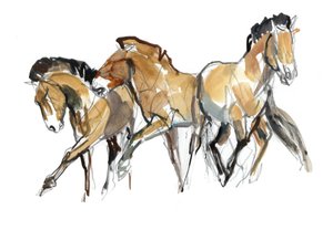 米斯特拉尔三世（Przewalski），2013年（油漆墨水，水彩和水粉）