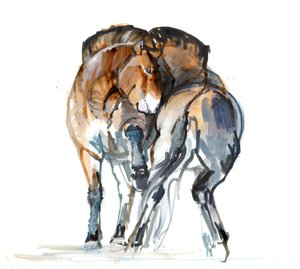 Power Dance（Przewalski），2013（sennelier墨水，水彩和水粉） 作者 马克·阿德灵顿