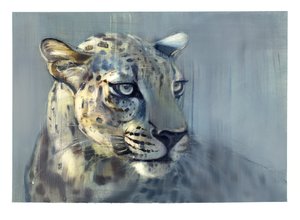 捕食者II（阿拉伯豹），2009年（纸上谈兵）