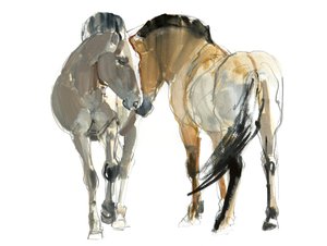 Rencontre（Przewalski），2013，（水彩和纸上颜料）