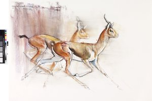 2010年运行阿拉伯瞪羚（纸上油） 作者 马克·阿德灵顿