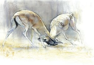 沙地羚羊，2009年（纸上油画和木炭）。 作者 马克·阿德灵顿