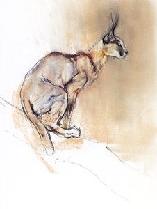 坐着的卡拉卡尔，2009年（纸上谈论木炭） 作者 马克·阿德灵顿