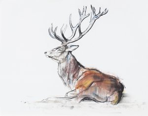 Seated Stag，2006年（木炭和纸上谈话） 作者 马克·阿德灵顿