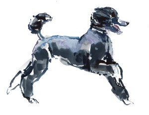 纯粹的课程，2013年，（纸上水彩和水粉）