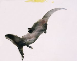 滑流 作者 马克·阿德灵顿