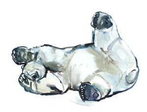 雪搓（北极熊），2013年（纸上水彩和水粉） 作者 马克·阿德灵顿