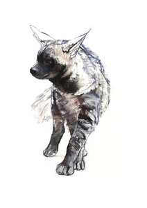 条纹Hyaena Pup，2010，（纸上粉笔和粉彩） 作者 马克·阿德灵顿