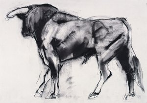 Toro Azul，研究（木炭纸上） 作者 马克·阿德灵顿