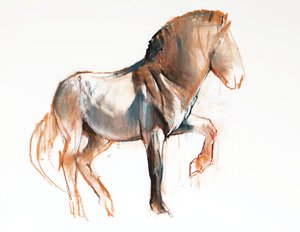 转向（Przewalski），2013年，（纸上粉彩和木炭）