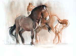 二（Przewalski），2013年，（纸上粉彩和木炭）