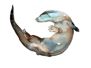 标题不明 作者 马克·阿德灵顿