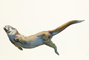 天鹅绒，2014年，（纸上水彩） 作者 马克·阿德灵顿