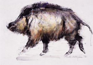 野猪，1999年（石墨，白兰地和纸上木炭） 作者 马克·阿德灵顿