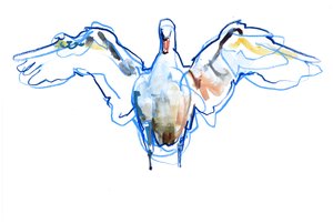 张开翅膀，2022 作者 马克·阿德灵顿