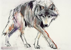 狼（纸上混合媒体） 作者 马克·阿德灵顿