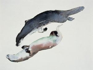 Yin Yang  作者 马克·阿德灵顿