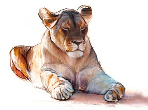 Yogi Lioness, 2019 作者 马克·阿德灵顿