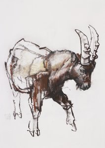 Young Ibex，Gran Paradiso，2005（木炭和纸上谈话） 作者 马克·阿德灵顿