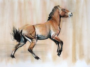 年轻的种马（Przewalski），2014年，（粉彩和木炭在纸上）