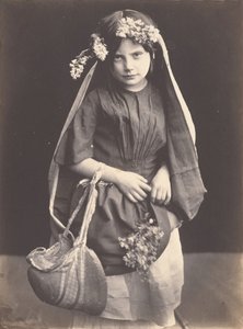 野生花卉，约1857年。 作者 马克安东尼