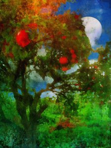月下花園
